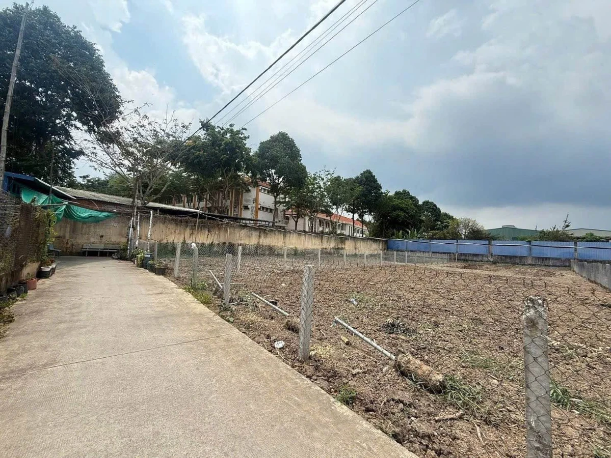 Bán đất thổ lúa 500m2 (150m2 thổ cư) gần Trường Nguyễn Đình Chiểu, Mỹ Lộc - Ảnh 1