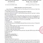 Thông báo bán đấu giá QSD đất tại Phường Hội Phú, tỉnh Gia Lai - Ảnh thu nhỏ 6
