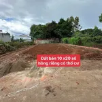 Bán đất 200m² gần chợ Phan Huy Chú, Quận 12 - 1 tỷ 350 - Ảnh thu nhỏ 1