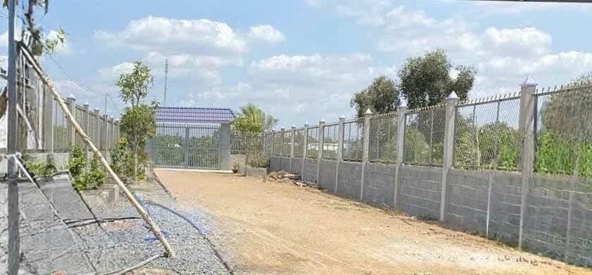 Bán đất vườn 800m² mặt tiền Bến Lức, Long An - Ảnh thu nhỏ 5
