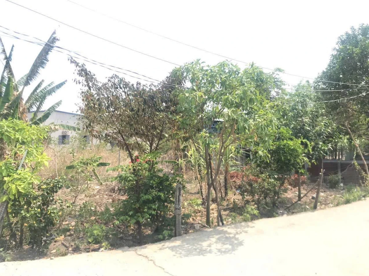 Bán lô đất 1 sào (9920 m²) 2 mặt tiền Phú Mỹ 5.5 tỷ - Ảnh thu nhỏ 3