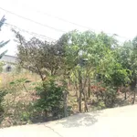 Bán lô đất 1 sào (9920 m²) 2 mặt tiền Phú Mỹ 5.5 tỷ - Ảnh thu nhỏ 3