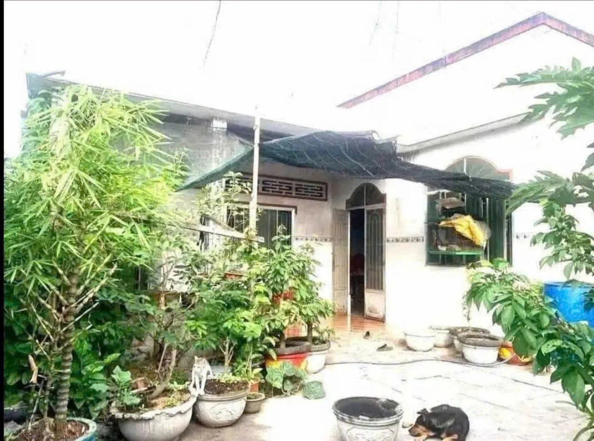 Bán nhà 174.6m² 3 phòng ngủ Giồng Trôm Bến Tre - Ảnh 1