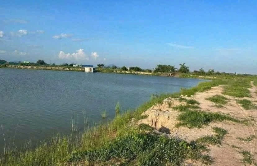 Bán 190m2 đất cây trồng sổ riêng ở Hàm Liêm 180 triệu - Ảnh thu nhỏ 3