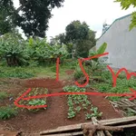 Bán đất Nhà Bè, Phường Tân An, 360 m², 2 tỷ 150 - Ảnh thu nhỏ 2