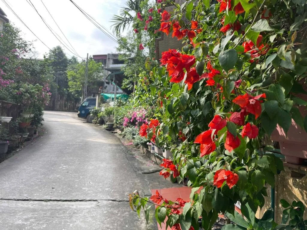 Bán 2 lô đất liền kề Yên Ninh Hóc Môn 205m2 - 1,39 tỷ - Ảnh thu nhỏ 3