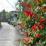 Bán 2 lô đất liền kề Yên Ninh Hóc Môn 205m2 - 1,39 tỷ - Ảnh thu nhỏ 3