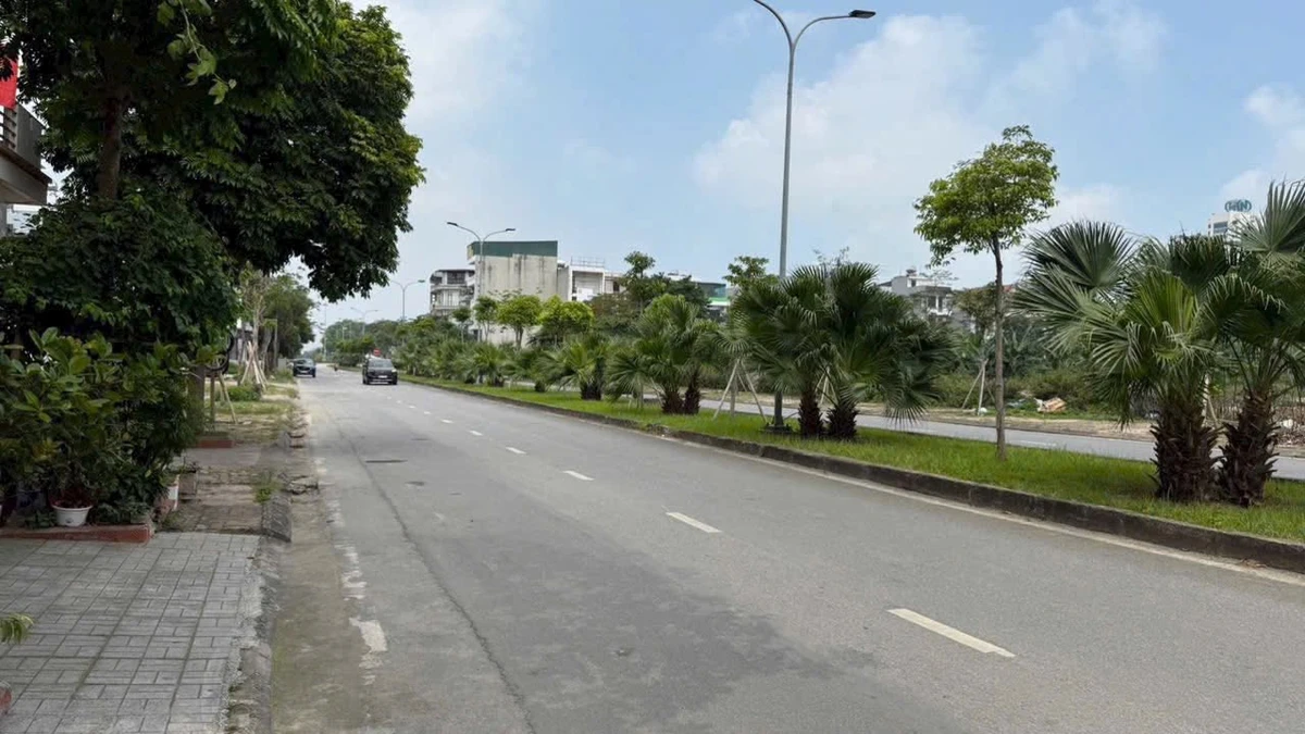 Bán đất mặt tiền 52,89m² đường Phạm Văn Đồng, Hải Dương - Ảnh thu nhỏ 3