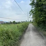 Bán đất lúa 1246m² Phước Đông Cần Thơ 360 triệu - Ảnh thu nhỏ 2