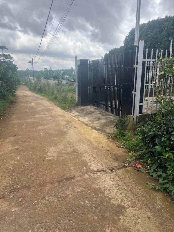 Bán lô đất 100m2 thổ cư Bảo Lâm 530 triệu