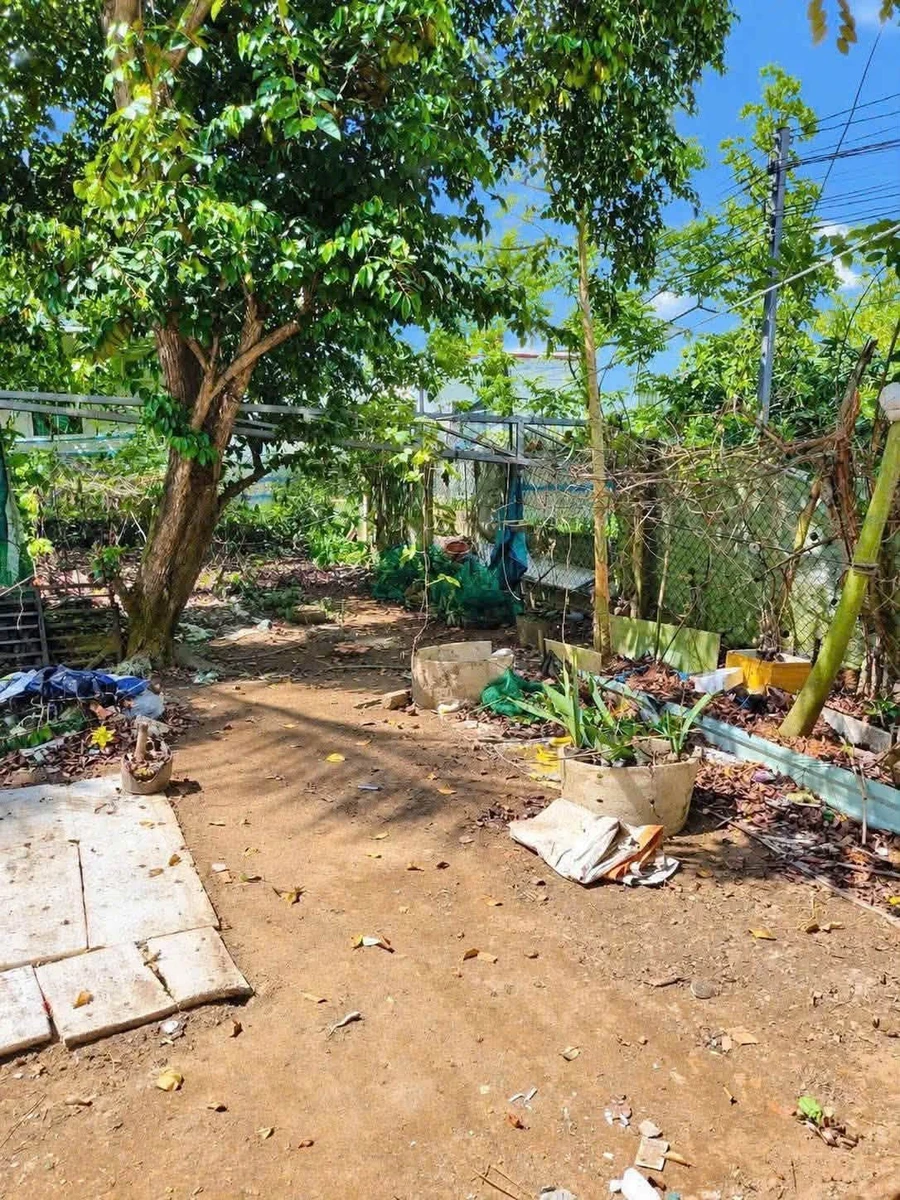 Nhà sân vườn Bình Phú Bến Tre 50m² giá 1,5 tỷ - Ảnh thu nhỏ 3