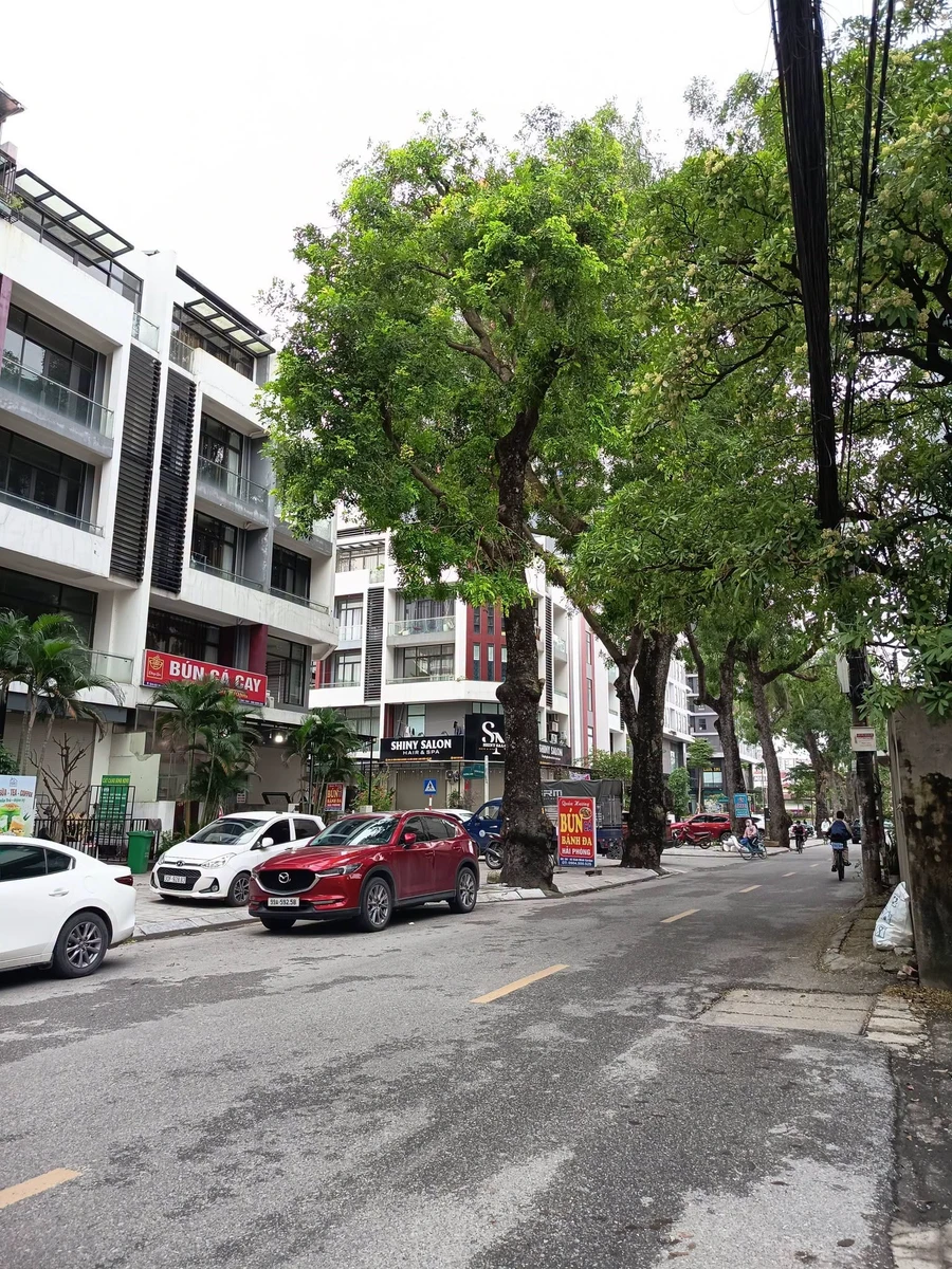 Bán lô đất 70m² Đức Giang, Hà Nội, 13 tỷ - Ảnh thu nhỏ 3