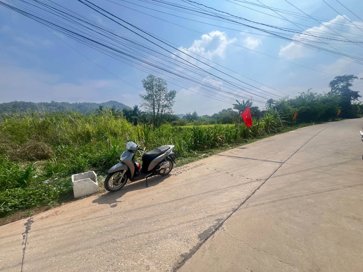 Bán đất mặt đường Triệu Quang Phục 230m² Cần Giờ - Ảnh thu nhỏ 4