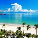 Bán lô đất góc sát biển Sơn Trà 86m² giá 6,15 tỷ - Ảnh thu nhỏ 2
