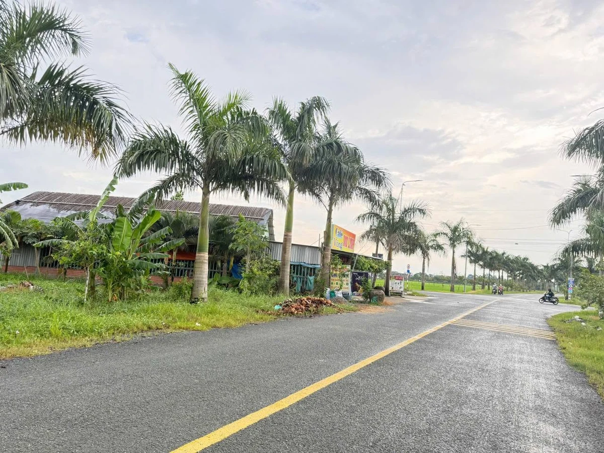 Bán 2 lô đất mặt tiền Nguyễn Hoàng Anh, 125m2, Tân Trụ 1,3 tỷ - Ảnh thu nhỏ 2