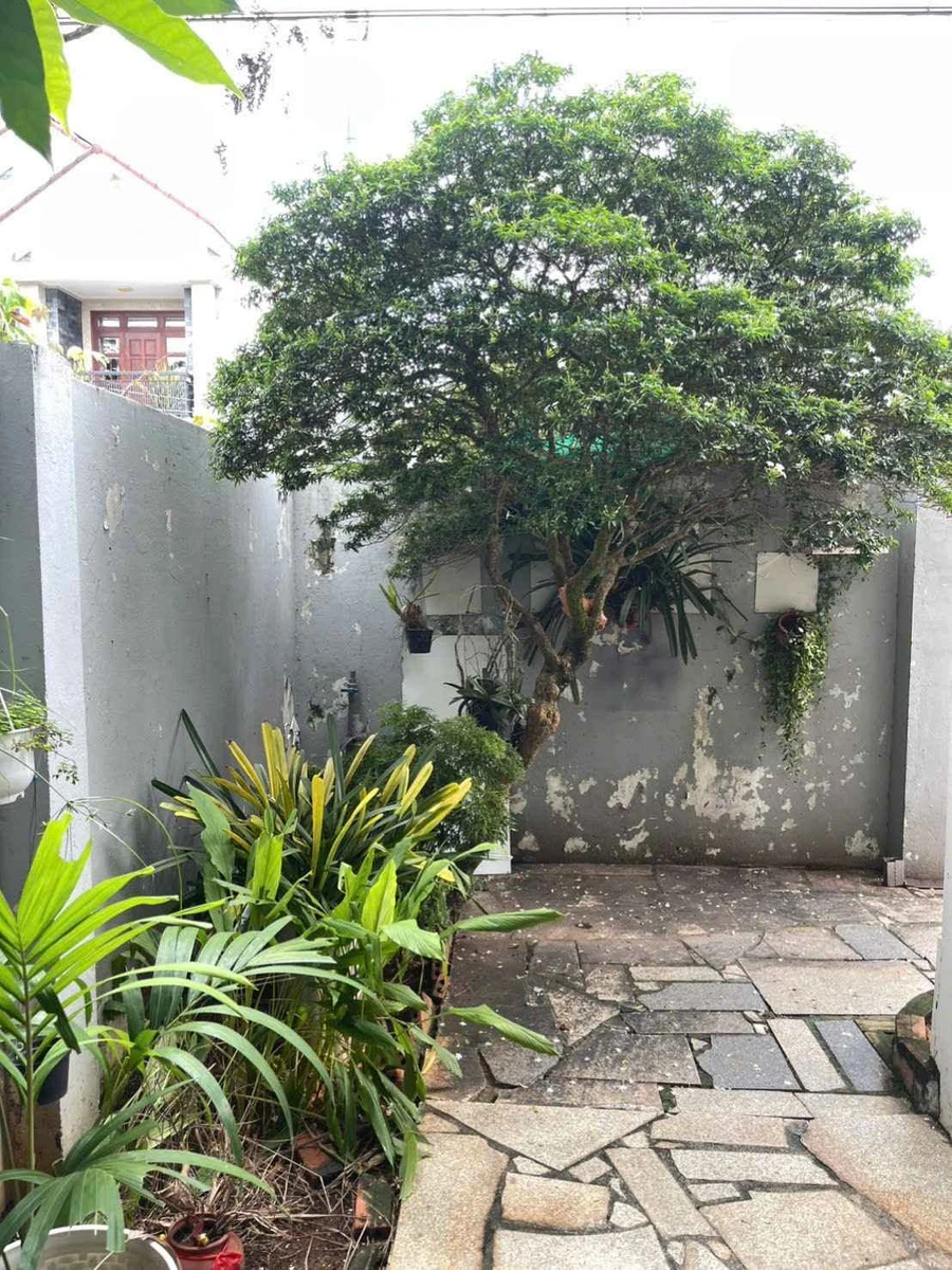 Bán biệt thự 190m² Phường Long Tâm, TP. Bà Rịa - Ảnh thu nhỏ 2