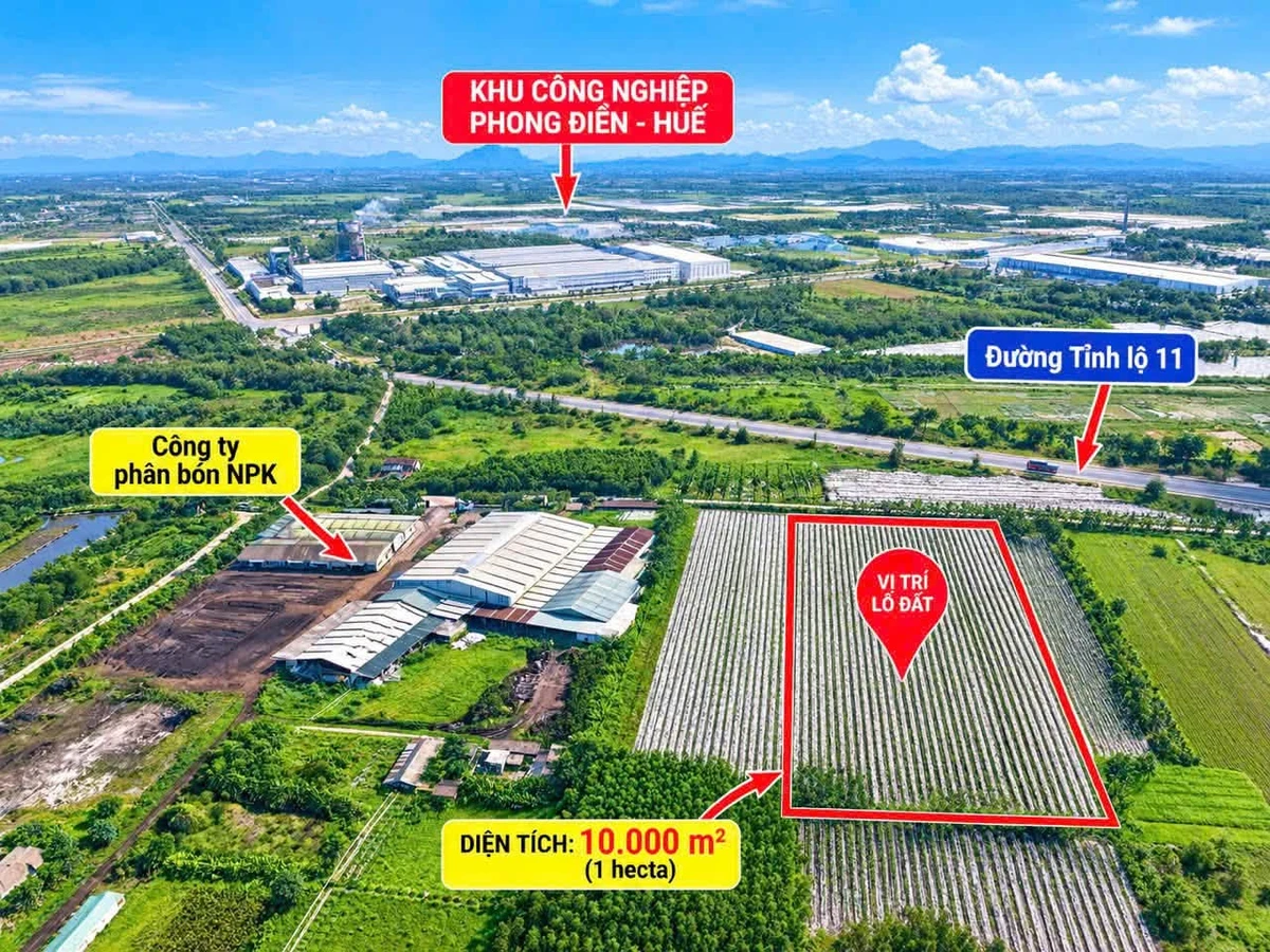 Bán 1 hecta đất Phong Điền Huế, 10.000m², giá hơn 1 tỷ - Ảnh thu nhỏ 2