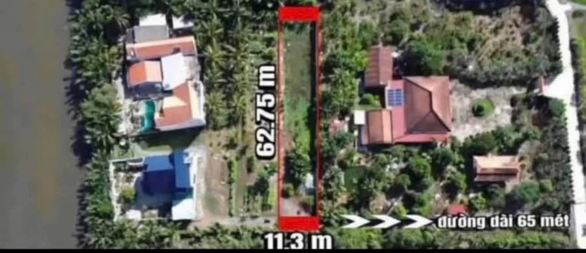 Bán 700m2 đất (350m2 thổ cư) Long An, gần chợ Tân Bữu - Ảnh thu nhỏ 3