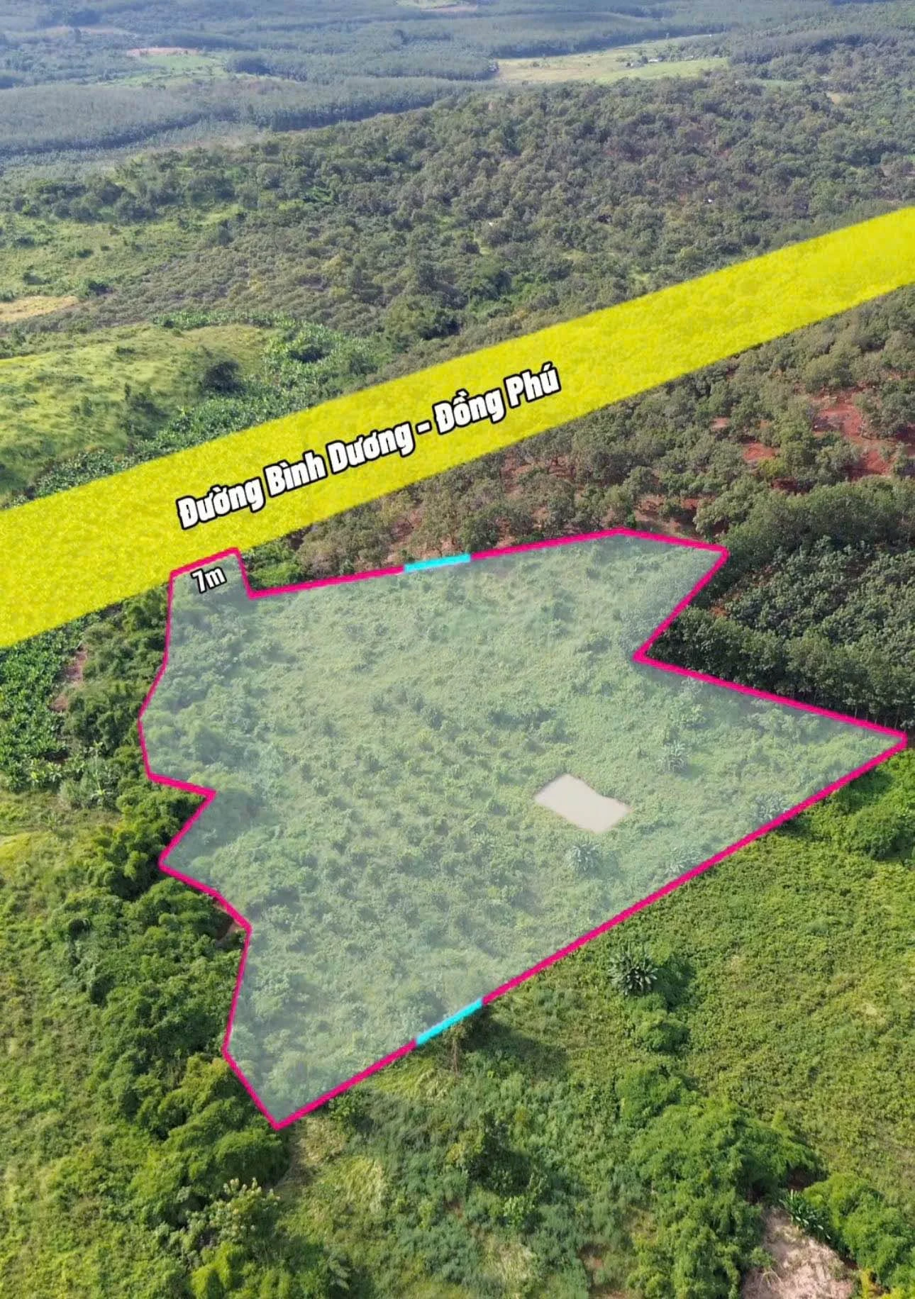 Bán đất mặt tiền Tạo Lực 1,5ha Tân Lợi Đồng Phú - Ảnh 1