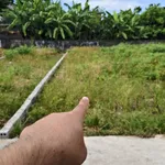Bán đất 98,5m² sát QL1A gần Bến xe Vinh, Nghệ An - Ảnh thu nhỏ 5