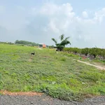 Bán lô đất liền kề 1000m2 Thạnh Lợi Bình Minh Tây Ninh - Ảnh thu nhỏ 3