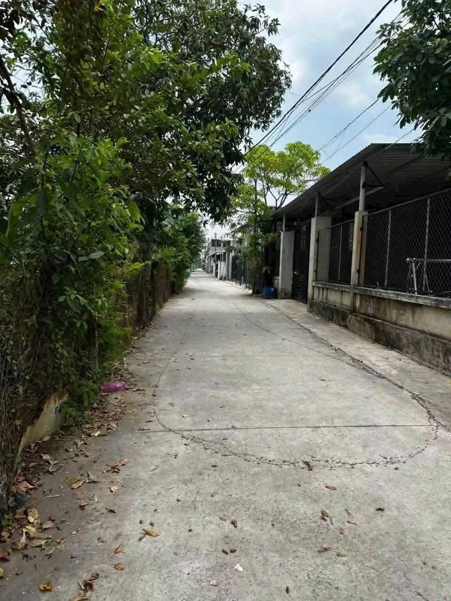 Bán nhà Nhà Bè 20x42m (840m²) giá 12 tỷ 5 - Ảnh thu nhỏ 2