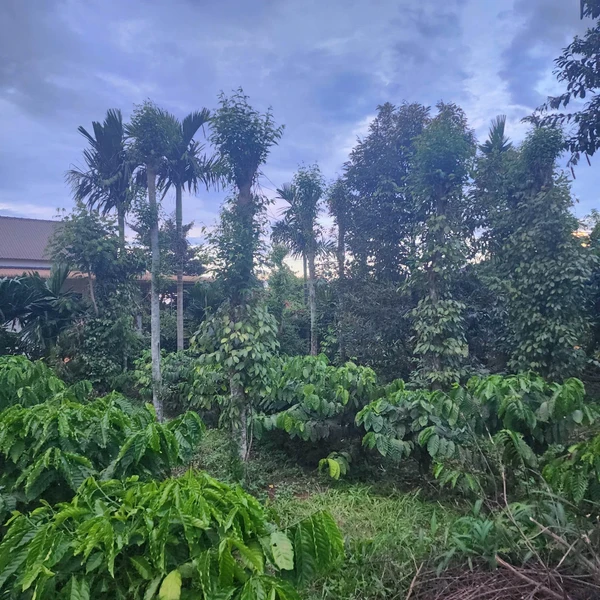Bán đất 400m² Cao Thắng Ea Kao, giá 1 tỷ 3