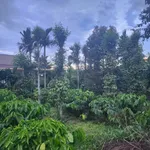 Bán đất 400m² Cao Thắng Ea Kao, giá 1 tỷ 3 - Ảnh thu nhỏ 1