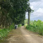 Bán đất Tân Thành Đồng Xoài Bình Phước 540m² - Ảnh thu nhỏ 2