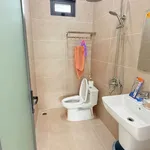 Bán nhà vườn mái Thái 424m² Bà Rịa 3,8 tỷ - Ảnh thu nhỏ 4