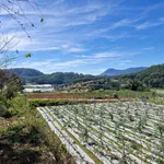 Bán lô đất 4800m² mặt tiền 42,5m view rừng thông tại Đèo Mimoza, Đà Lạt, giá 15 tỷ - Ảnh thu nhỏ 2