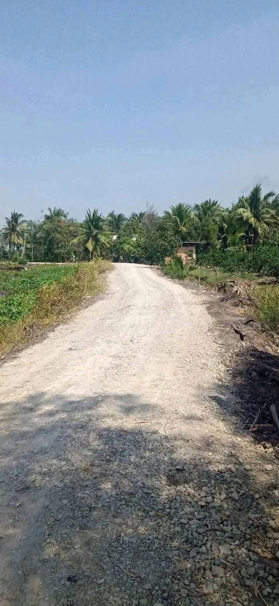 Bán 4800m2 đất vườn trồng dừa, chanh, ổi giá 1,9 tỷ tại xã Thạnh Lợi, Tây Ninh - Ảnh thu nhỏ 4