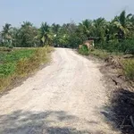 Bán 4800m2 đất vườn trồng dừa, chanh, ổi giá 1,9 tỷ tại xã Thạnh Lợi, Tây Ninh - Ảnh thu nhỏ 4