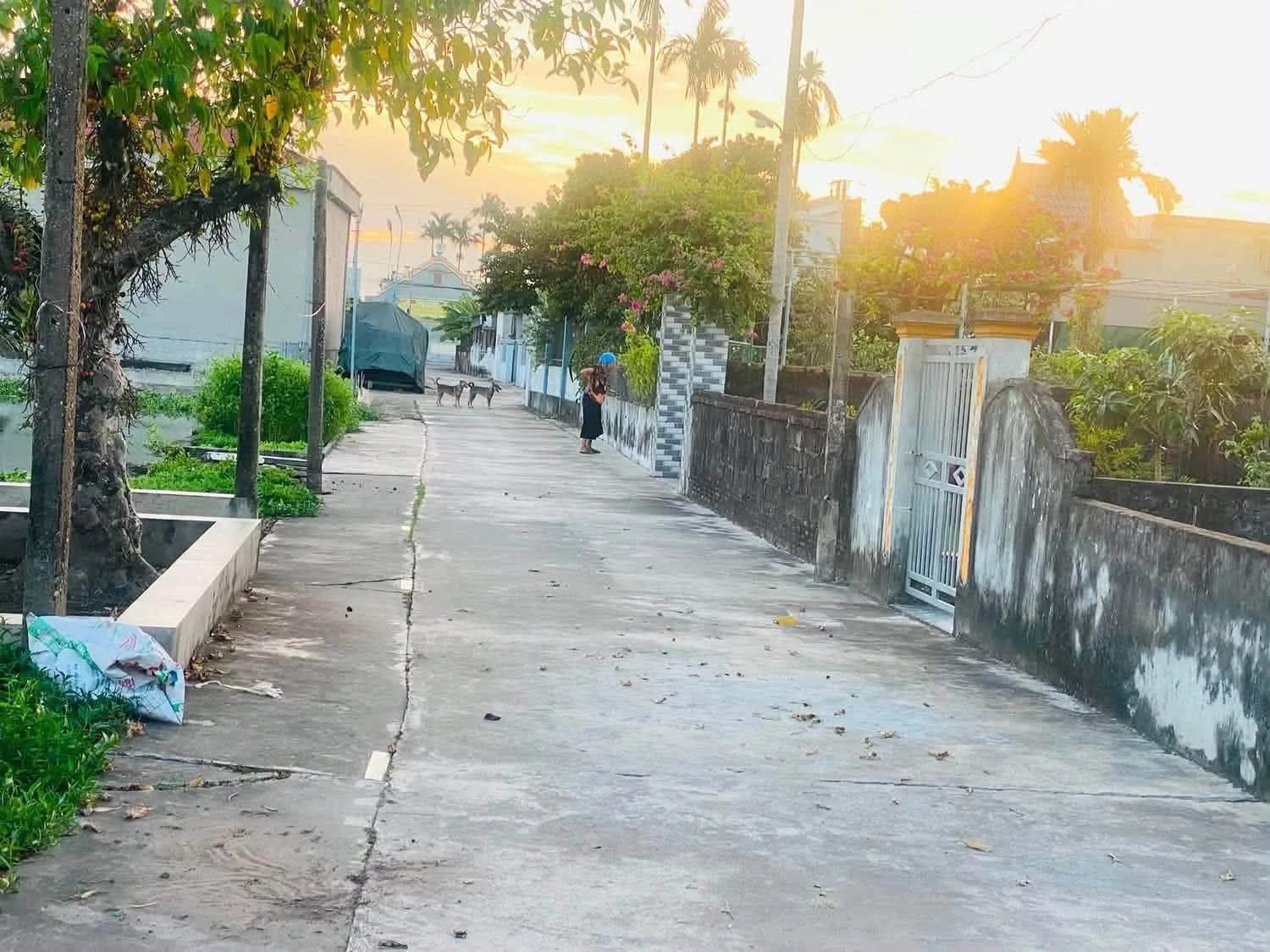 Bán 2 lô đất Xã Nam Bình Kiến Xương Thái Bình 104m² giá 200 triệu - Ảnh 1