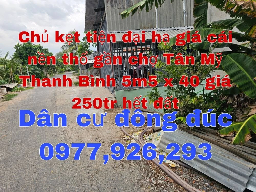 Bán đất nền thổ 100% mặt tiền 5.5x38m tại Thanh Bình, Đồng Tháp - Ảnh 1