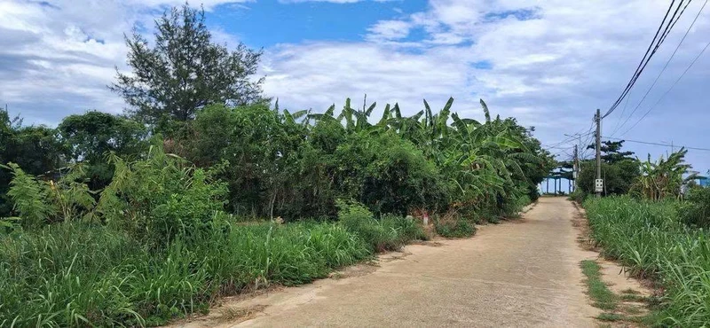 Bán lô đất nông nghiệp 258m2 cách biển Gành Yến 100m, Quảng Ngãi, giá 239 triệu