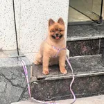 Bán nhà 4 tầng xây mới lô góc 45m2 phố Trần Nguyên Hãn, Vũ Chí Thắng, Hải Phòng - Ảnh thu nhỏ 1