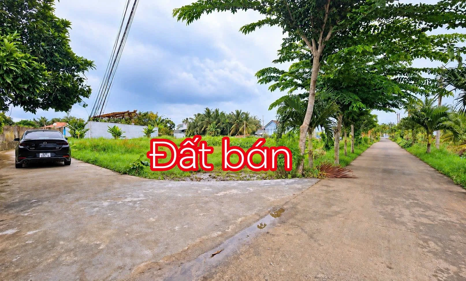 Bán đất thổ cư 190m² sát TP Tân An 529 triệu - Ảnh 1