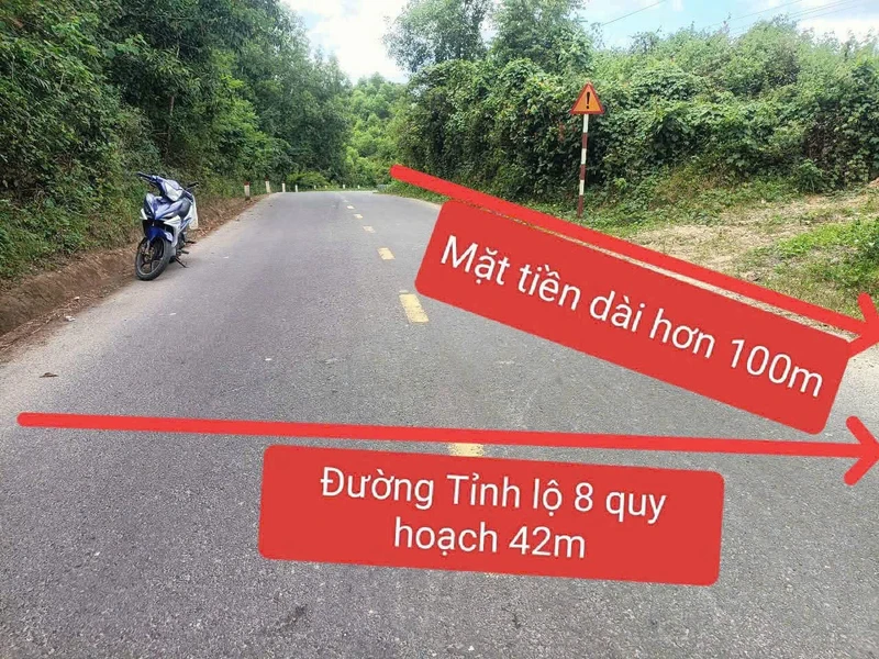Bán đất Diên Lâm 4.000m² mặt tiền Tỉnh lộ 8, giá 1,35 tỷ