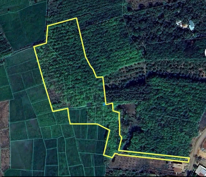 Bán đất 2 hectare 800 triệu Bù Đốp