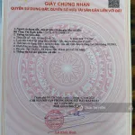 Cách bãi tắm 2km - 10x35m Phước Hải - chỉ 2.2 tỷ - Ảnh thu nhỏ 15