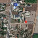 Bán đất nhánh Lê Duẩn 170m² Chơn Thành 580 triệu - Ảnh thu nhỏ 4