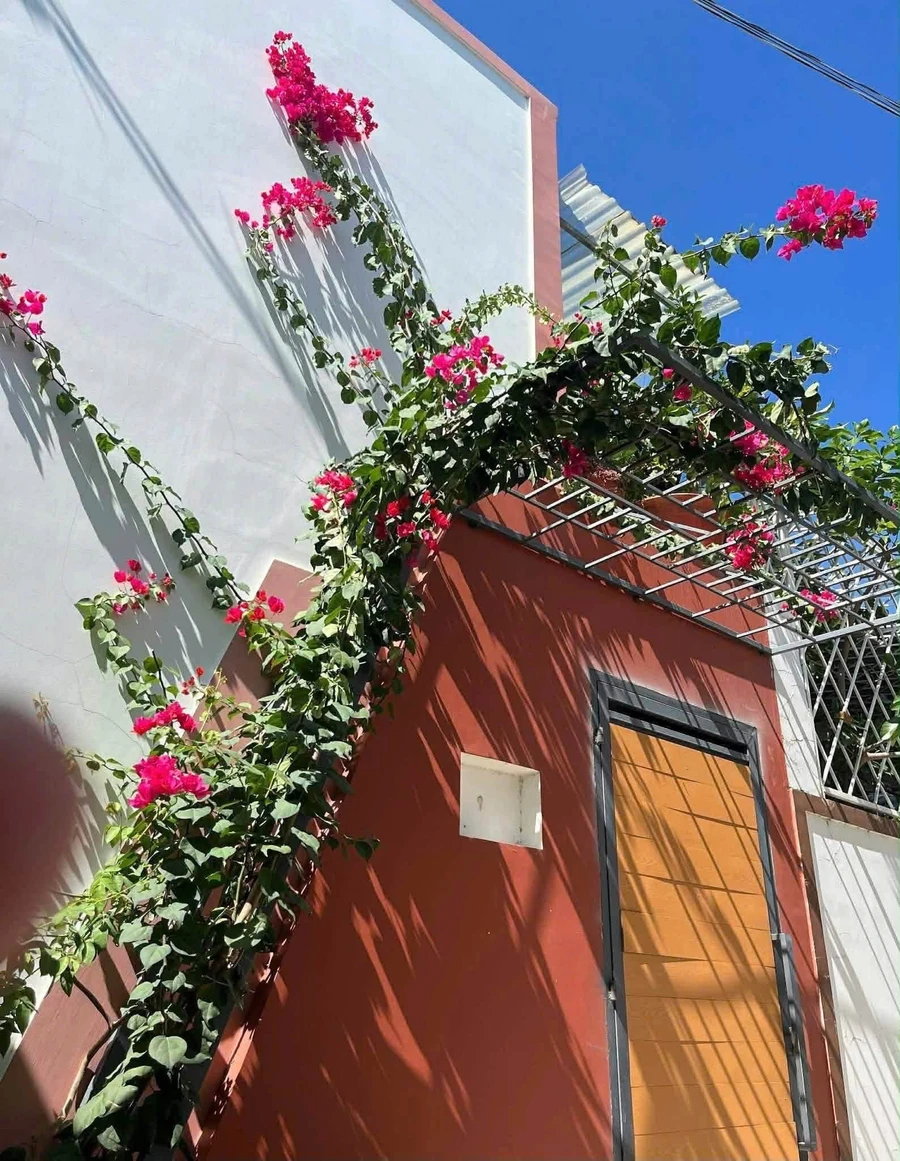 Bán nhà 2PN Phong Nẫm, Phan Thiết 64m2, 850 triệu - Ảnh thu nhỏ 3