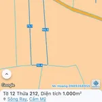 Bán gấp lô đất 1000m2 xã Sông Ray Đồng Nai 600 triệu - Ảnh thu nhỏ 4