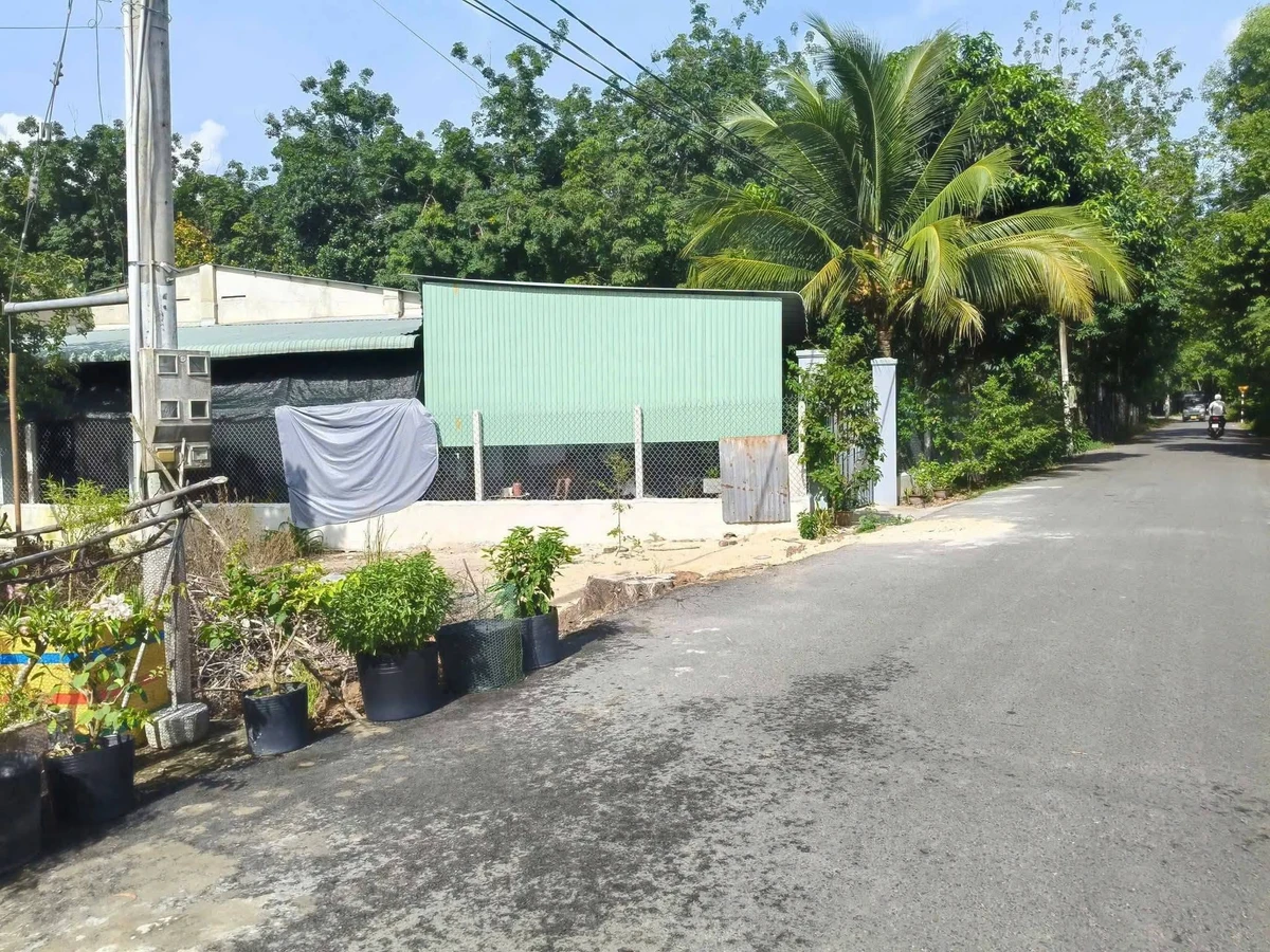 Đất nền Giồng Cà Bình Minh Tây Ninh 210m² 250 triệu - Ảnh thu nhỏ 4