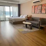 Cho thuê căn hộ 1PN TMS Pullman Quy Nhơn, 60m2, 10tr/tháng - Ảnh thu nhỏ 1