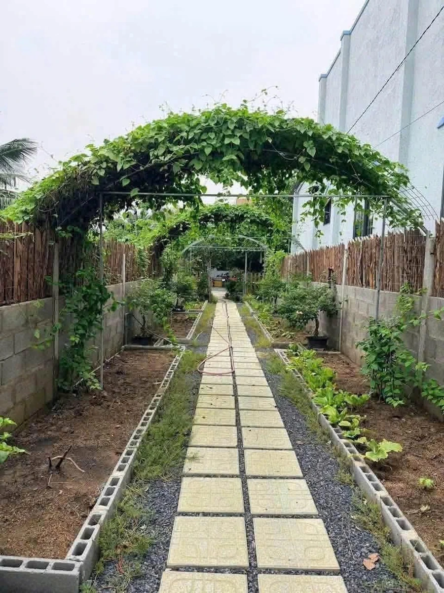Bán nhà vườn 3PN Long An 500m² giá 1 tỷ 550 triệu - Ảnh thu nhỏ 3