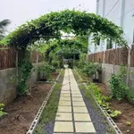 Bán nhà vườn 3PN Long An 500m² giá 1 tỷ 550 triệu - Ảnh thu nhỏ 3