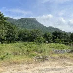 Bán 9500m vuông đất trồng CLN, quy hoạch lên đất ONT, sổ hồng riêng, chính chủ - Ảnh thu nhỏ 11