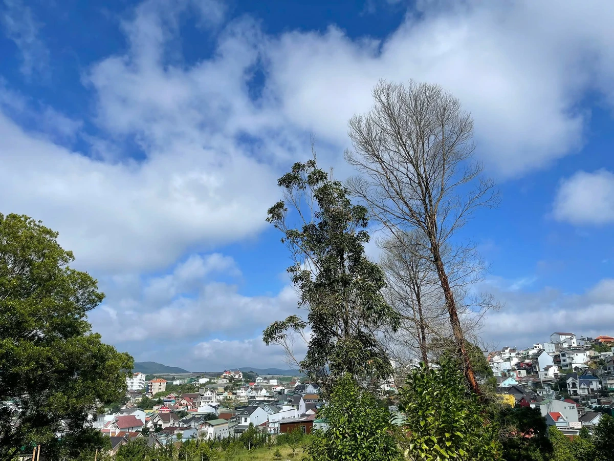 Bán đất view 400m² trung tâm Đà Lạt 13 tỷ - Ảnh thu nhỏ 2